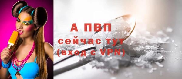 прущие крисы Магадан
